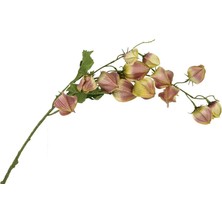 Mikasa Moor Sarı Pembe Yapay Zambak 90cm