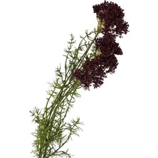 Mikasa Moor Bordo Yapay Kraliçe Çiçeği 76cm