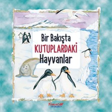 tp Bir Bakışta Kutuplardaki Hayvanlar