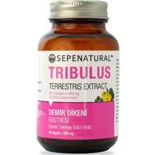 Sepe Natural Sepe Natural Tribulus Ekstaktı 90 Kapsül X 480Mg | Demir Dikeni SEPE
