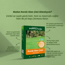 Genta Prestige Kurak Alan Çim Tohumu 1 kg