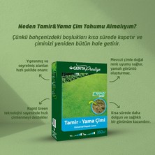 Genta Prestige Tamir Yama Çim Tohumu 1 kg