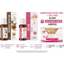 Softem Hindistan Cevizi + Gül Yağı Alana Kolajenli Sabun Hediye | Cilt Bakım Seti