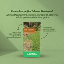 Genta Onarım Çim Tohumu 1 kg.