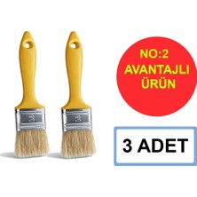 Sgs Kestirme Fırça Profesyonel Plastik Sap No:2 ( 3 Adet )