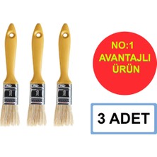 Sgs Kestirme Fırça Profesyonel Plastik Sap No:1 ( 3 Adet )