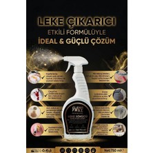 Clean Fast Ultra Güçlü Çok Amaçlı Leke Çıkarıcı Sprey  Kumaş Halı Koltuk Yüzey ve Döşeme Temizleyici 750 ml