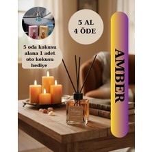 Misra Home 100ML Egzotic Amber Kokusu Çubuklu Oda Kokusu Dolap Banyo Ev Oda Parfümü Oda Kokusu