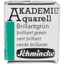 Sefa Ticaret Akademie Aquarell Yarım Tablet Sulu Boya 551 Brilliant Green