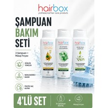 Hairbox Şampuan, Argan, Atkuyruğu, Defne Özlü Şampuan, Banyo Masaj Tarağı