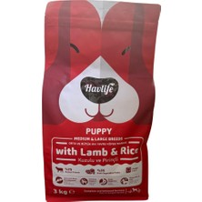 Havlife Orta ve Büyük Irk Kuzulu Yavru Köpek Maması 3 kg