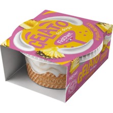 Fidovet Gelato Ananas Aromalı Dondurma Köpek Ödül Maması 40GR