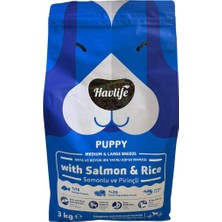 Havlife Orta ve Büyük Irk Somonlu Yavru Köpek Maması 3 kg