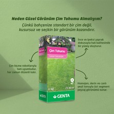 Genta Güzel Görünüm  Çim Tohumu  1 kg.