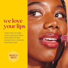 Canarino Burt's Bees Renkli Dudak Bakım Kremi