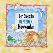 Lisinya Bir Bakışta Denizdeki Hayvanlar
