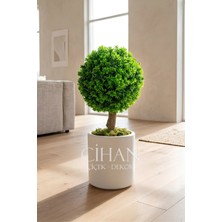 Cihan Çiçekçilik Yapay Top Şimşir Ağacı 70 cm (Uv Dayanıklı) - Beyaz 32X30 Silindir Saksı Şimşir Çapı 35 cm