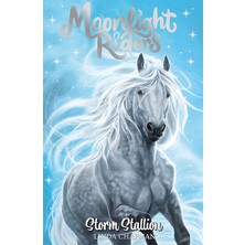 Canarino Moonlight Riders: Storm Stallion: Book 2