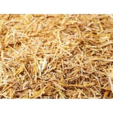 Canbay Doğal Ürünler Canbay Dogal Ürünler 3 kg Arpa Samanı