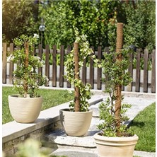Odea Doğal Hindistan Cevizi Lifinden Tırmanma Çubuğu - 60 cm
