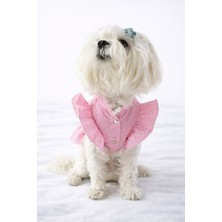 Patilinka Kedi - Köpek Yazlık Pamuklu Poplin Elbise - Kıyafet - Tişört