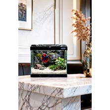 Ada Akvaryum Betta Balığı Akvaryumu Siyah 23X12X21 cm 4 Litre Arka Plan Hediyeli