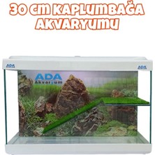 Ada Akvaryum Su Kaplumbağası Akvaryumu Bahçeli Rampalı Dinlenme  30X23X15 cm  Arka Plan Hediyeli