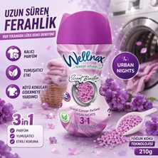 Trendhane Wellmax Urban Nights 3’ü 1 Arada Granül Çamaşır Parfümü 210 g