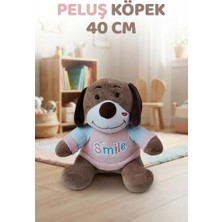 Farbu Oyuncak Smile Köpek Açık Kahverengi 40CM Sevimli Konforlu: Peluş Uyku Yastığı ve Sarılma Arkadaşı Dekoratif Oyuncak