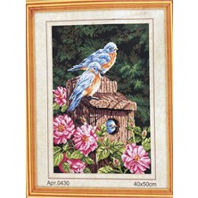 İğne İzi Goblen Etamin Işleme Seti 40X50 cm 430