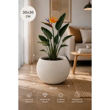Empressco Premium Küre Saksı 30 cm Beyaz Dayanıklı Plastik Modern Saksı- Iç Hazneli