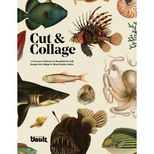 Step Kitap Cut And Collage