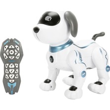 Sunman Sesli Uzaktan Kumandalı USB Şarjlı Akrobat Robot Köpek
