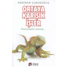 ALK Ortaya Karışık Işler