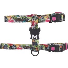 M-Pets Urban Style Graffıtı Active Köpek Göğüs Tasması (Xs)