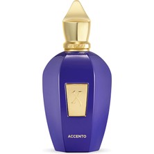 Xerjoff Vibe Collection Accento Edp 100ML