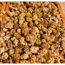 Aladağ aladag Dut Kurusu 1 KG