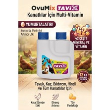 Ovumix Kanatlılar İçin Multi-Vitamin ve Tavuk Vitamini Yumurta Verimini Artırıcı Etki KEKLIK125 ml