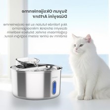 Die Grup 3.5 Lt Kapasiteli Pencereli Otomatik Kedi Su Çeşmesi