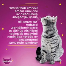 Die Grup Whiskas Tavuklu Poşet Yaş Mama 85 G Tekli Paket