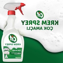 Die Grup Çok Amaçlı Amonyak Yüzey Temizleyici - 750 ml