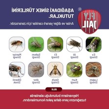 Die Grup Karasinekleri Çekmek Için Etkili Yapışkan Tuzağı