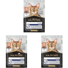 Die Grup Yetişkin Kediler Için Somonlu Yaş Kedi Maması, 85 Gr. (3 Paket)