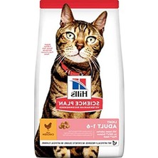 Die Grup Yetişkin Kuru Kedi Maması 3 kg Lezzetli Besin