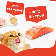 Die Grup Kaşıklı Kedi Ödül Kreması Somon Aromalı 10X16 G