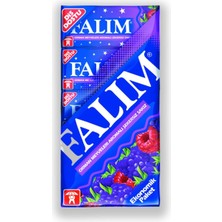 Falim Şekersiz Sakız Orman Meyveleri Aromalı 5'li 7 G x 20 Adet