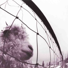B Side Club Pearl Jam - Vs. Remastered 180G Lp Plak