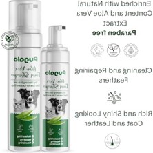 Die Grup Kuru Köpük Şampuan - Aloe Vera Içerikli, 250 ml