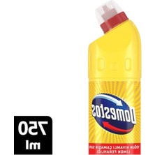 Die Grup 750 ml Limon Ferahlığı Sağlayan Mikrop Öldürücü Çamaşır Suyu