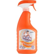 Die Grup Limon Kokulu Mutfak Spreyi, 750 ml Virüs Etkili Temizlik